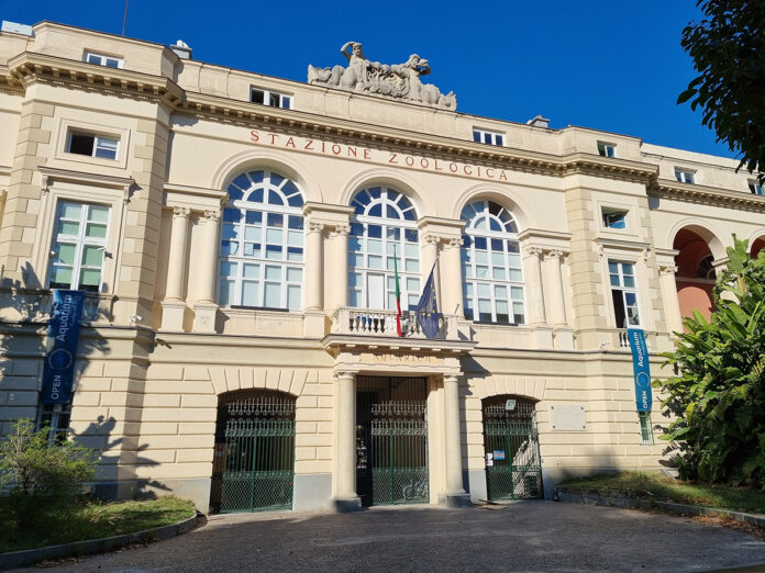 Danovaro