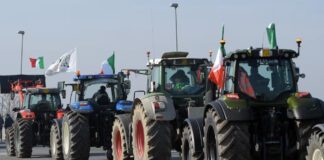 Il Sud ed il peccato originale della politica agricola europea