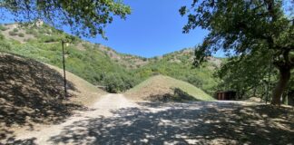 Brindisi di Montagna. Foresta Grancia